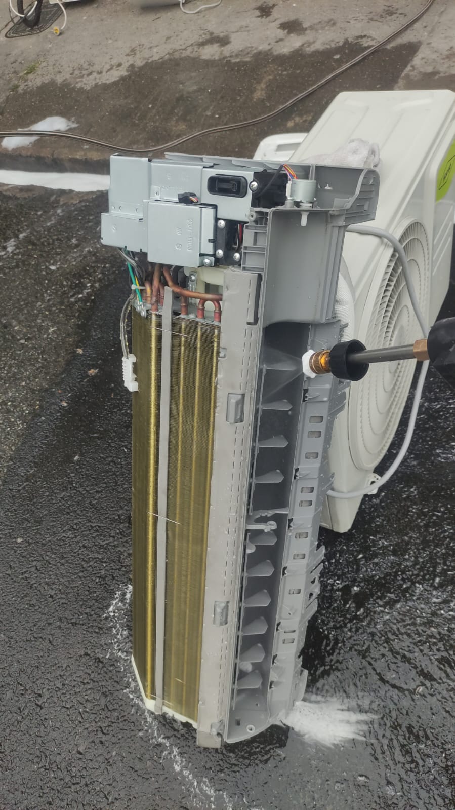 Home whatsapp image 2026 01 20 at 3.31.40 pm