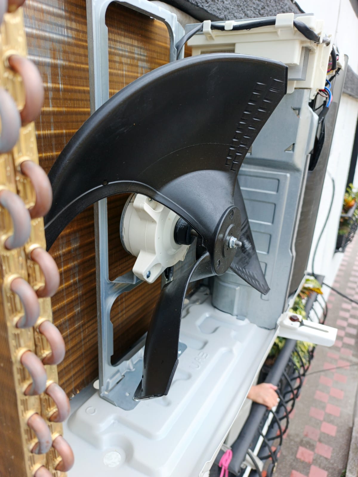 Home whatsapp image 2026 01 20 at 3.33.41 pm