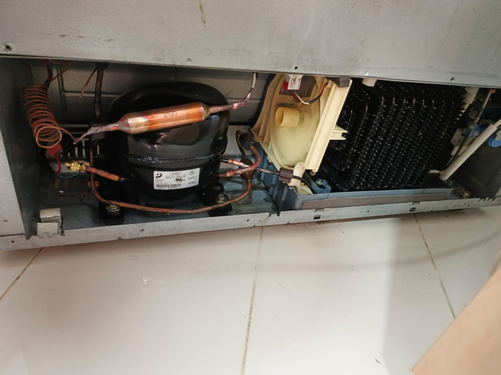 Home whatsapp image 2026 01 20 at 3.45.09 pm