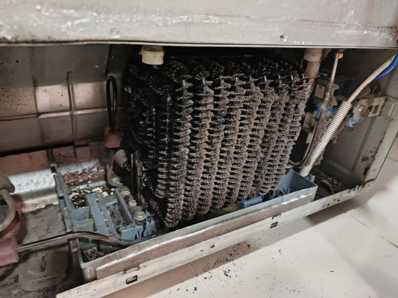 Home whatsapp image 2026 01 20 at 3.45.10 pm